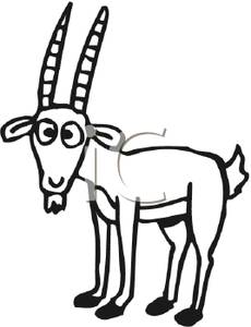 Billy Goat With A Surprised Look On It S Face   Royalty Free Clipart    