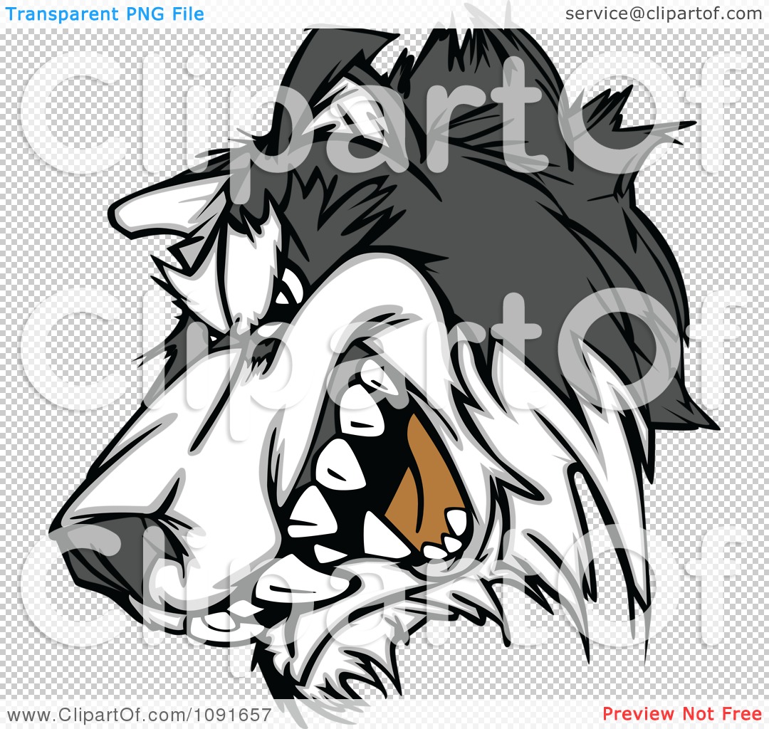 Clipart Snarling Husky Mascot Head   Royalty Free Vector Illustration