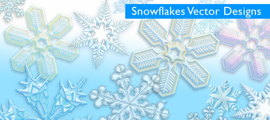 Featured Collection  Snowflakes Vector Designs