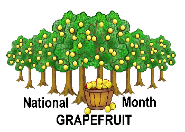 Grapefruit Month Clip Art   Free Grapefruit Month Clip Art   National    