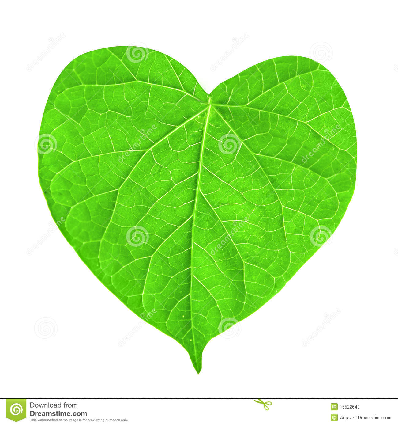 More Similar Stock Images Of   Green Leaf In Shape Of Heart
