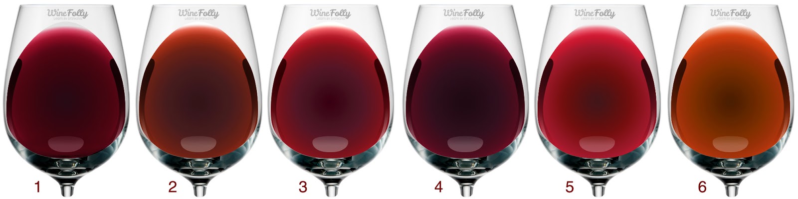 Harmonic Wines  Learn The Secrets Of Each Red Wine Color