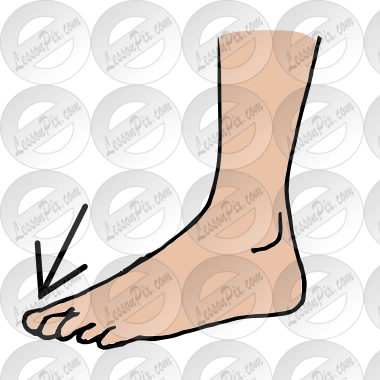 Toes Picture For Classroom   Therapy Use   Great Toes Clipart