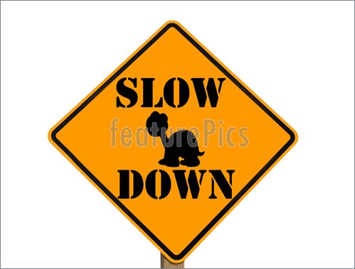 Illustration Of Sign Warning To Slow Down Isolated With Clipping Path