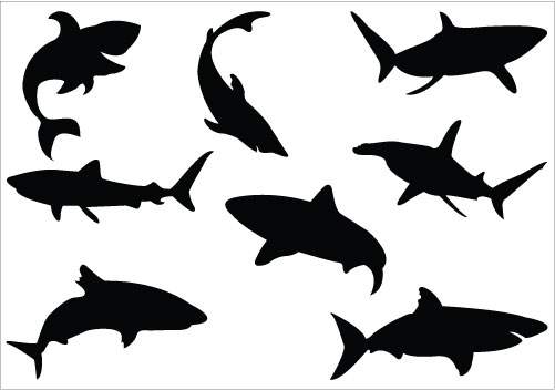 Shark Silhouette Clip Art Pack   Clipart Panda   Free Clipart Images