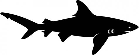Shark Silhouette Tattoo