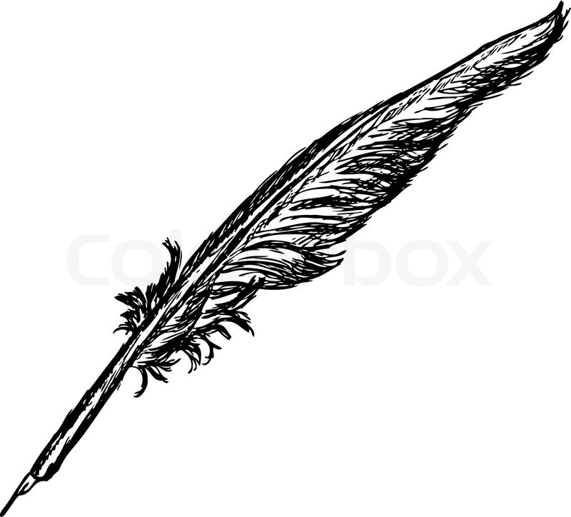 Stock Vector Of  Vector   Hand Draw Quill Isolated On Background