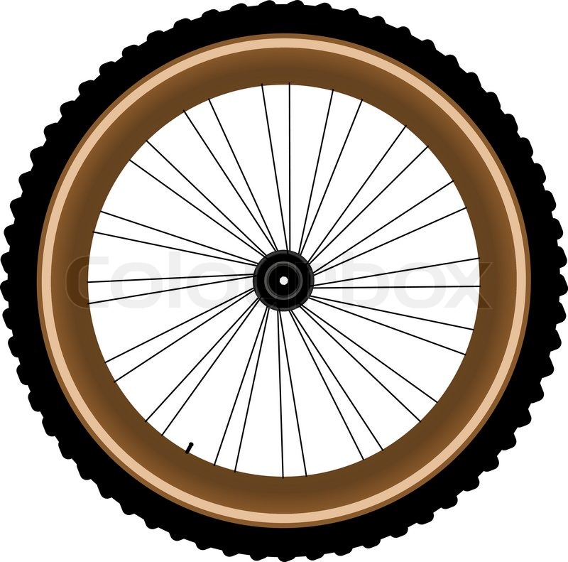 Front Wheel Of A Mountain Bike Isolated On White   Vector   Colourbox
