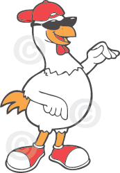 Funny Cartoon Chicken Picture