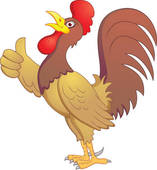 Funny Rooster Cartoon Clipart Graphic