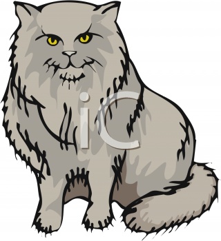 Long Hair Cat Clip Art   Bing Images   Cats   Ragdolls    T