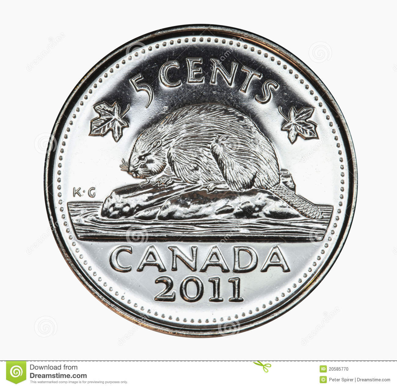 The Canadian Five Cent Coin Depicts The National Animal The