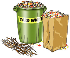 Yard Waste Picture