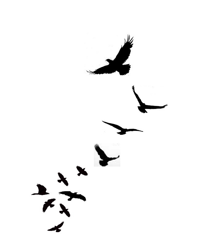10 Sparrow Silhouette Tattoo Free Cliparts That You Can Download To