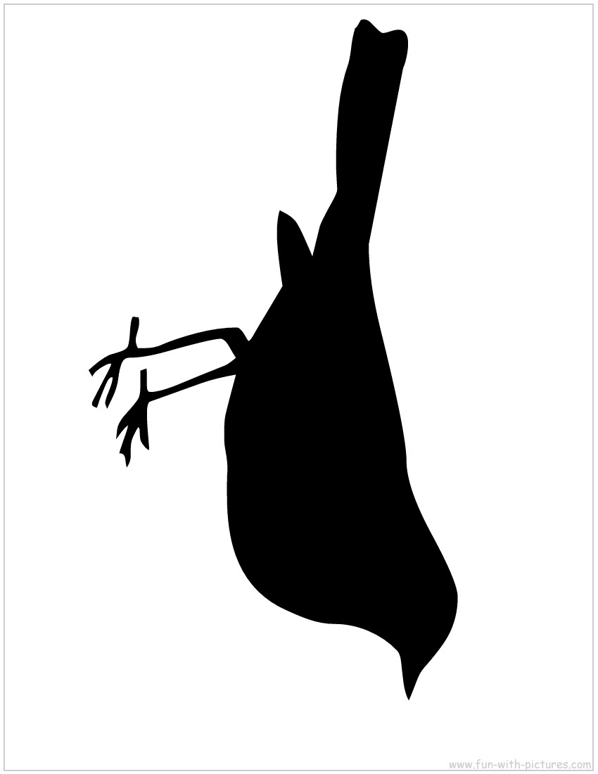 Bird Silhouette   Free Images At Clker Com   Vector Clip Art Online    