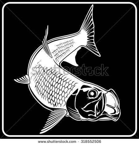 Black And White Illustration Of Tarpon  Vector Illustration Can Be