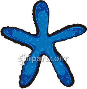 Blue Linckea Sea Star   Royalty Free Clipart Picture