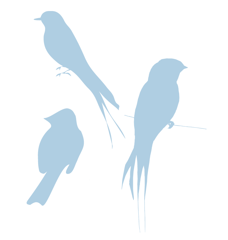 Blue Silhouette Birds Look So Romantic And Peaceful  Now These Eri