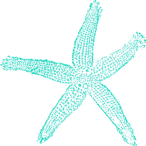 Blue Starfish Clip Art At Clker Com   Vector Clip Art Online Royalty    