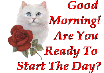 Good Morning Cat With Rose Graphics Code   Good Morning Cat With Rose