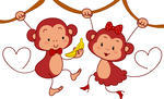 Of A Male Monkey Giving A Female Monkey A Banana 70049236 Jpg