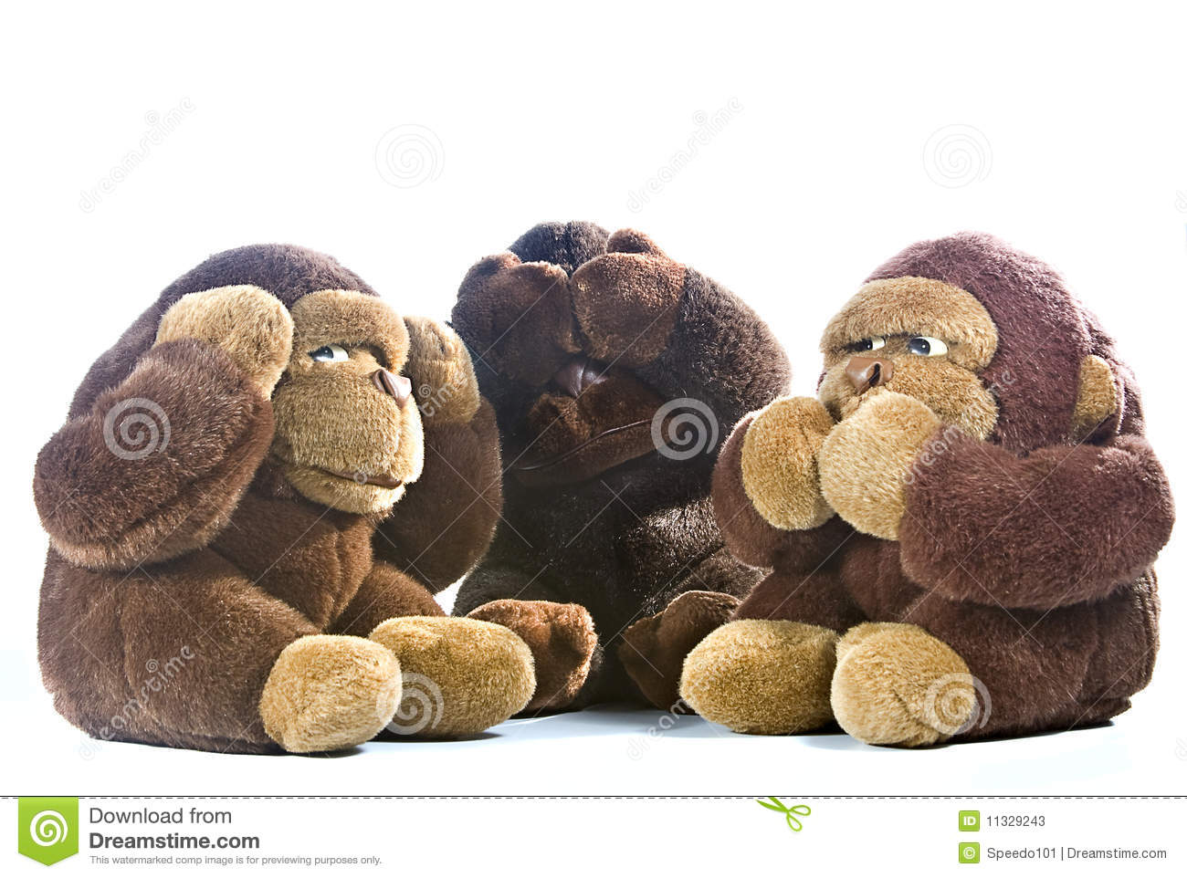 Three Monkeys Stock Photos   Image  11329243