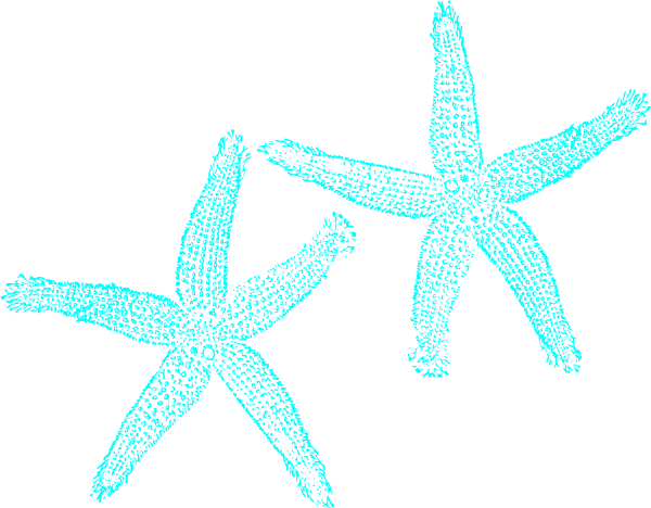 Turquoise Starfish Clip Art At Clker Com   Vector Clip Art Online    
