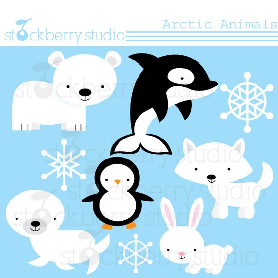 Arctic Animals Clipart Set  9 Clipart Designs 