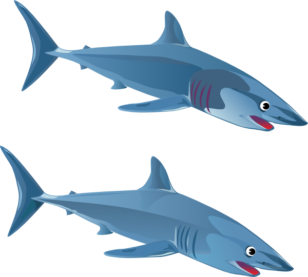Blue Shark Clip Art   Animal   Download Vector Clip Art Online