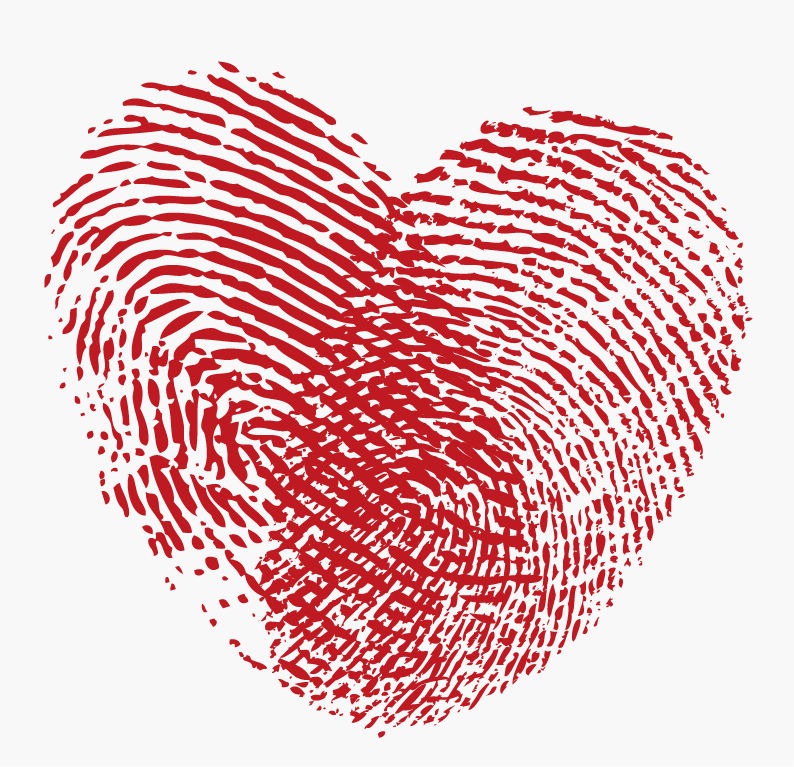 Fingerprint Heart Vector Graphic   Free Vector Graphics   All Free Web