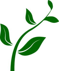 Growing Plant Clip Art At Clker Com   Vector Clip Art Online Royalty