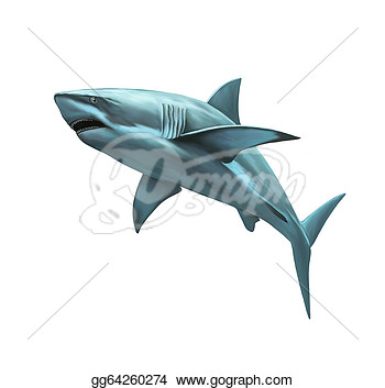 Large Grey Shark Isolated Illustration On White Background   Clipart