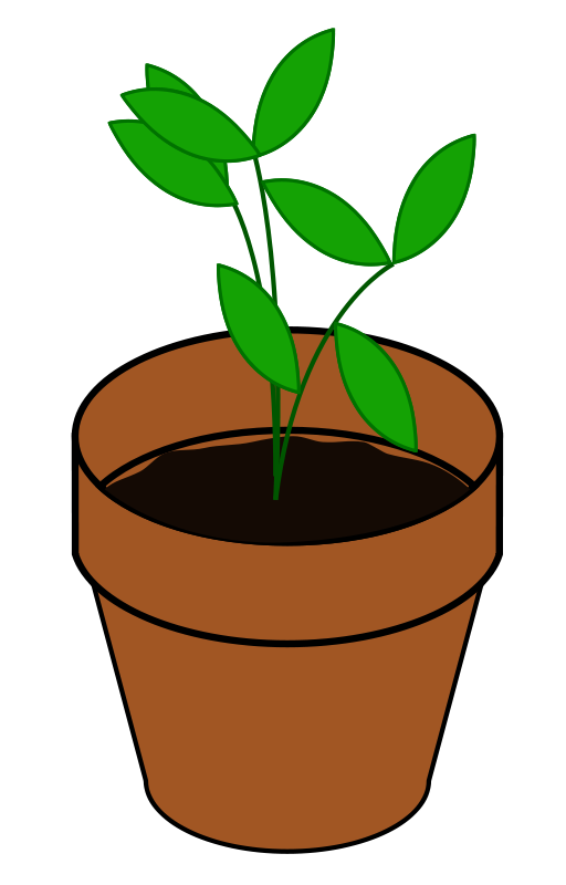 Pot Plant Clipart Royalty Free Flower Pictures   Clipart Pictures Org