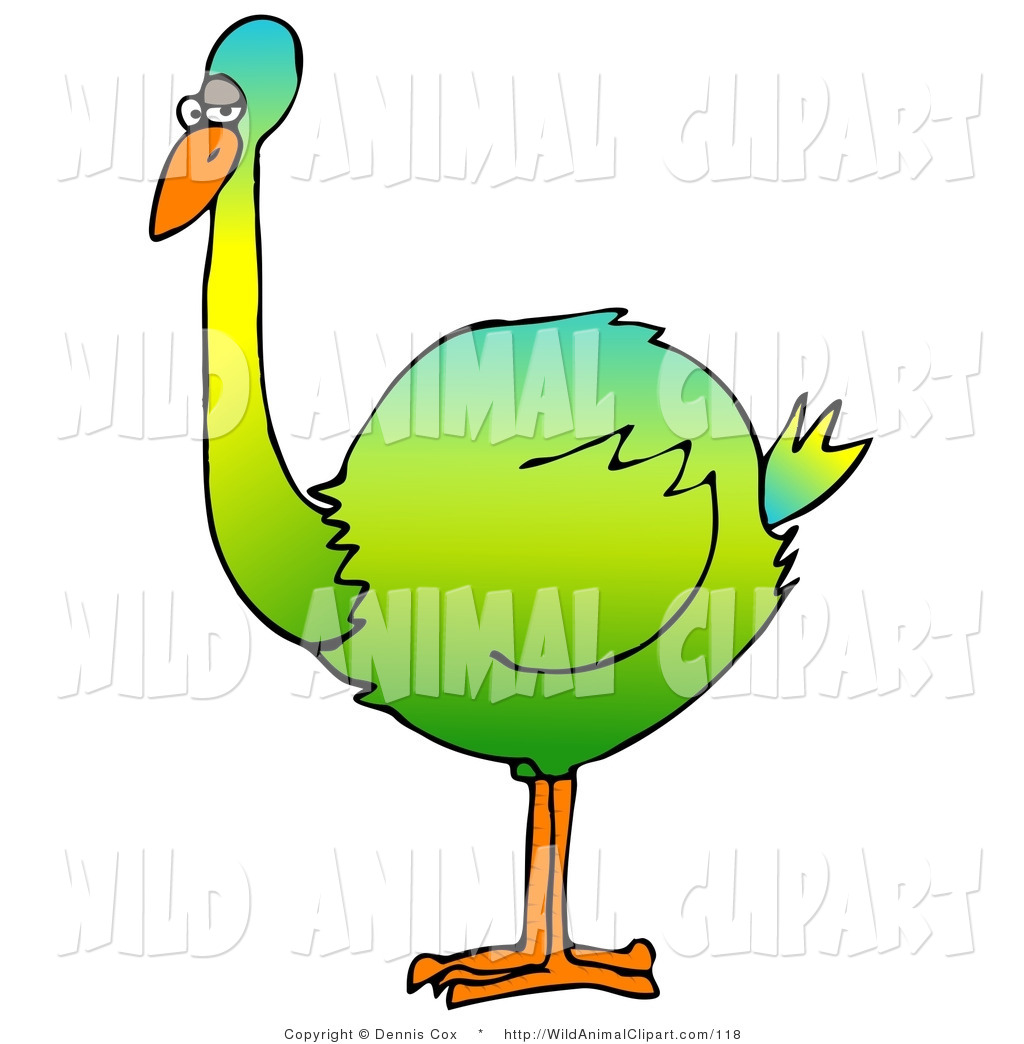 Clip Art Of A Big Colorful Green And Yellow Flightless Bird By Dennis