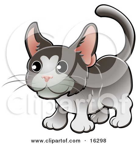 Sweet Gray And White Tuxedo Cat With Pink Ears Clipart Illustration
