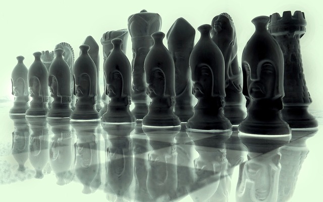 Chess Chess Game Black White Chess Pieces