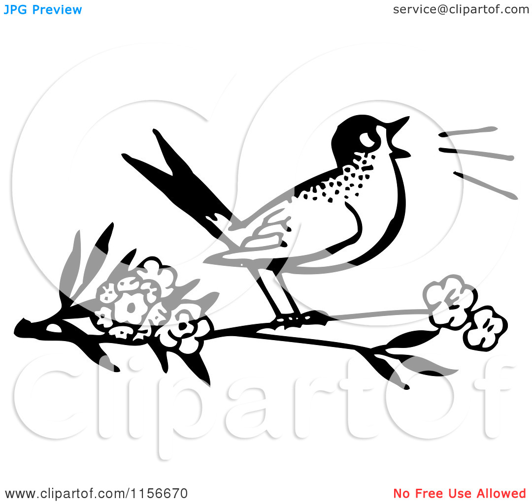 Clipart Of A Black And White Retro Bird Singing On A Branch   Royalty
