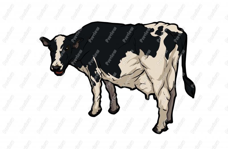 Cow Character Clip Art   Royalty Free Clipart   Vector Cartoon Drawing