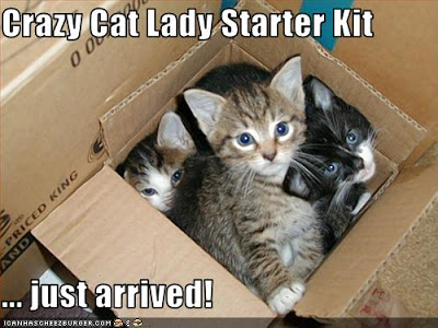 Flaming Zombie Monkeys  Crazy Cat Lady Starter Kit