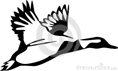 Flying Duck Clipart Black And White Duck Black White Illustration