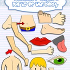 Of The Body Clipart  This Set Includes Line Art And Colored Graphics    