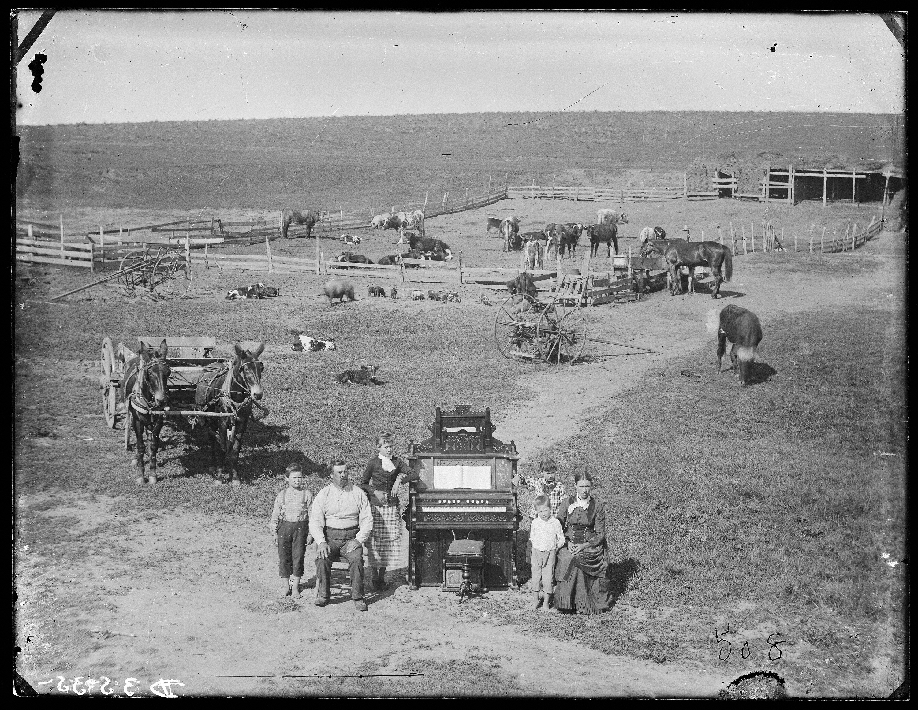 Prairie Settlement  Nebraska Photographs And Family Letters 1862 1912