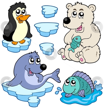 Arctic Animals Collection Stock Vector Clipart Arctic Animals    