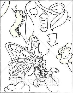 Cartoon Caterpillar Clipart