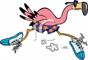 Cartoon Flamingo In Running Shoes   Royalty Free Clipart Picture