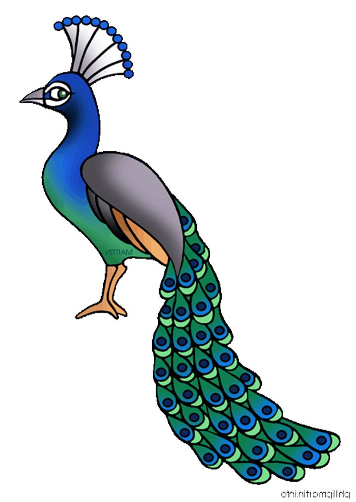 Simple Peacock Feather Design   Clipart Panda   Free Clipart Images