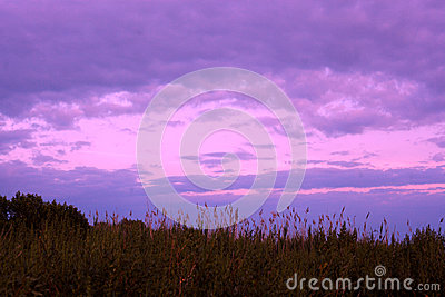 The Sun Has Set Leaving Behind A Purple Hue In The Sky  A Meadow Is    
