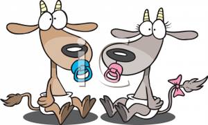 Two Baby Goats Sucking On Pacifiers   Royalty Free Clipart Picture