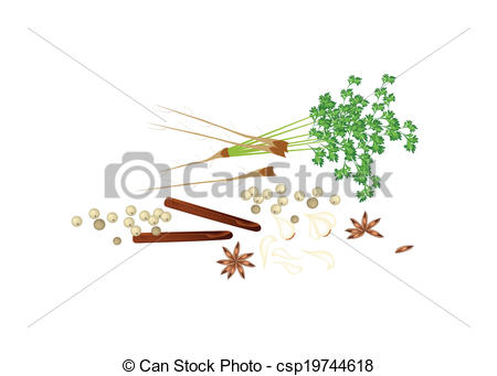 Vector Clip Art Of Stack Of Chinese Spices On White Background   A