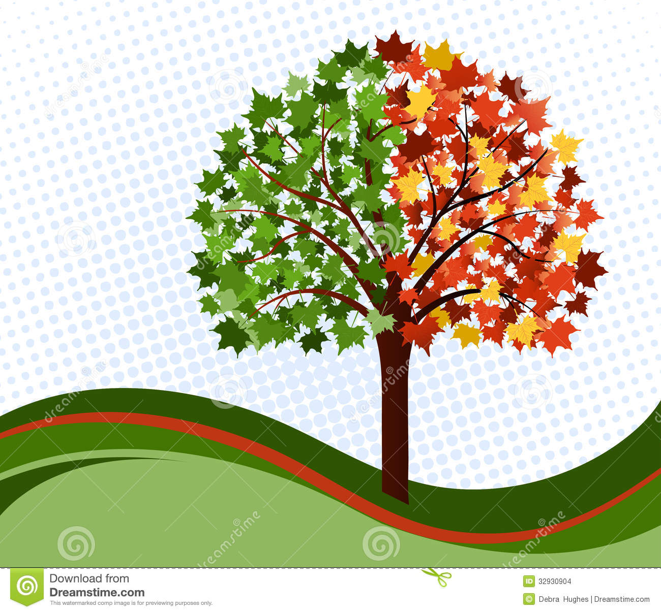 Changing Seasons Tree Stock Images   Image  32930904
